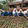 Young Farmers Partnership - Image 7
