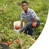 Young Farmers Partnership - Image 13